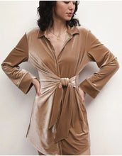 Load image into Gallery viewer, ZSupply Dallon Mink Velvet Wrap Dress
