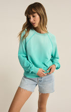 Load image into Gallery viewer, Washed Ashore Sweatshirt
